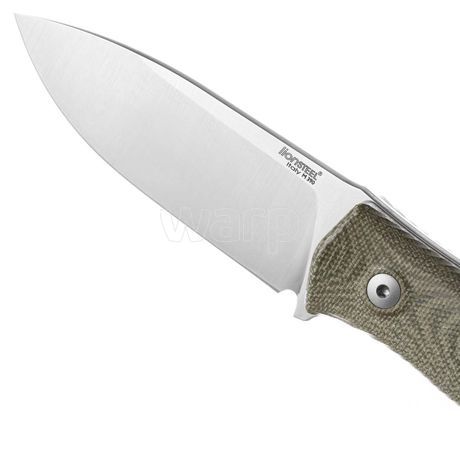 LionSteel-M4-CVG-2