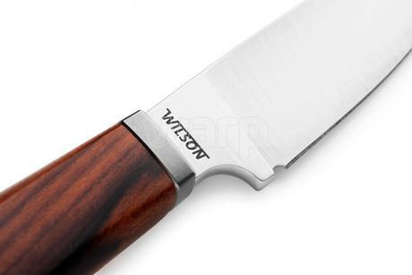 Lionsteel Willy WL1 ST-5