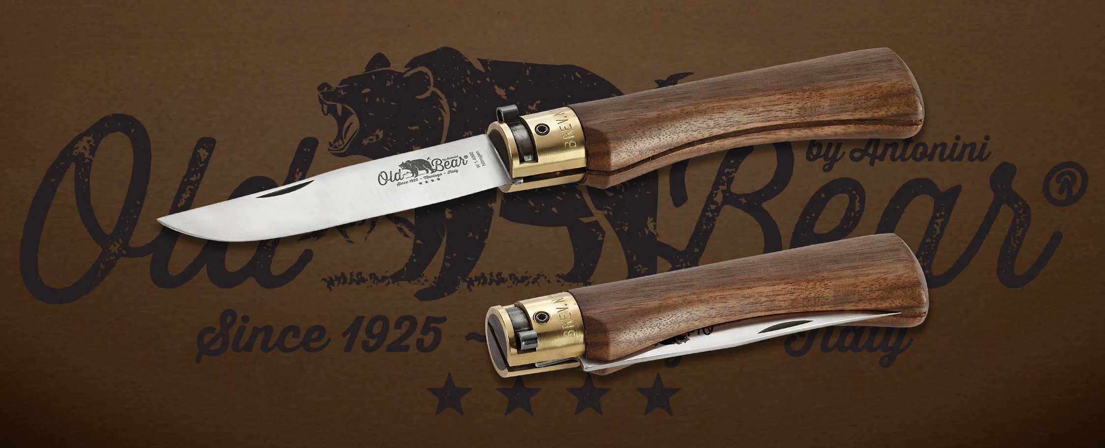 Antonini-old-bear