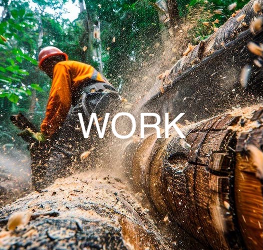 Fitwell-work_1